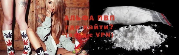 apvp Билибино