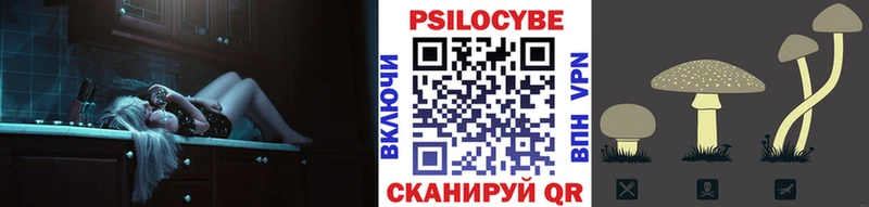 Псилоцибиновые грибы Psilocybine cubensis  Козьмодемьянск 